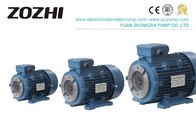 Female Shaft Three Phase Hydraulic Pump, 380V Asynchronous Electric Motor IP54 IP55
