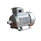 Y2 Cast Iron IP55 0.75kw 1Hp Three Phase Asynchronous Motor