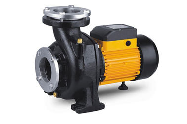 Single Stage Nfm Series Electric Centrifugal Pump , Pool High Volume Electric Water Pump
