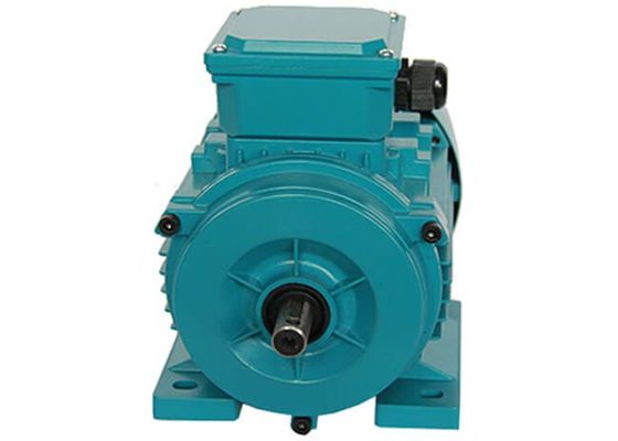 B Insulation 25HP 18.5kw 3 Phase Asynchronous Motor