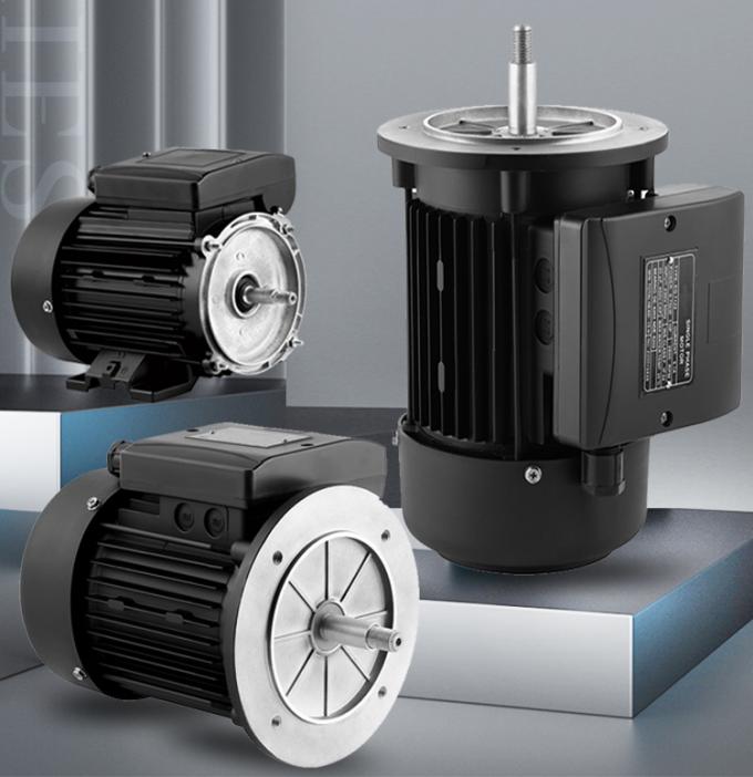 Động cơ bơm hồ bơi 2800 vòng/phút một pha không đồng bộ với vỏ nhôm chống thấm nước và tần số 220V 50Hz 1