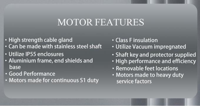 Động cơ bơm hồ bơi 2800 vòng/phút một pha không đồng bộ với vỏ nhôm chống thấm nước và tần số 220V 50Hz 4