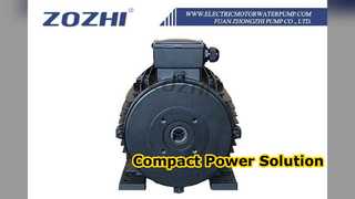 Động cơ trục rỗng cho máy rửa áp lực 5,5kW