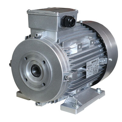 5.5KW electric motor with italy high pressure pump for Pressure Washers