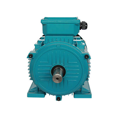 High Efficiency Three-Phase Asynchronous Motor 1.5KW 380V 1400RPM Waterproof for High Pressure Cleaners