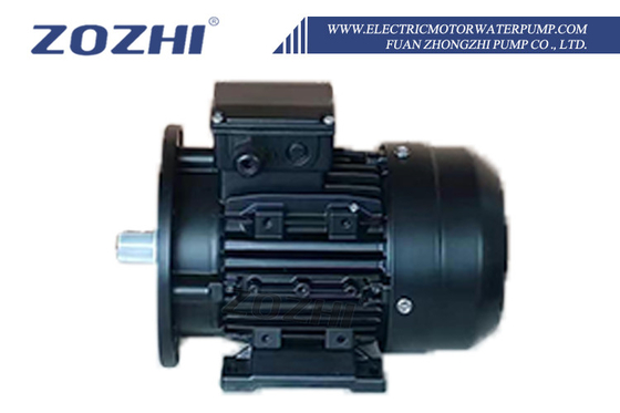 Máy bơm nước động cơ điện với tốc độ dòng chảy 500 GPH 25 feet Max Head và 20m Head để chuyển nước đáng tin cậy