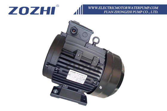 Động cơ trục rỗng cho máy làm sạch áp suất và nhà máy giặt 4KW 5.5HP B3 87/61 Trục rỗng 24mm IP55 Bảo vệ 1400rpm Ba pha 380V Cho Interpump