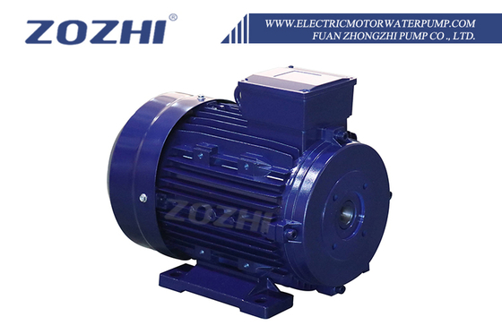 Động cơ cảm ứng điện AC 30HP 22KW Trục rỗng 24mm 1000 vòng/phút Ba pha Tần số 50Hz 380V AC Nhôm 60Hz Kín
