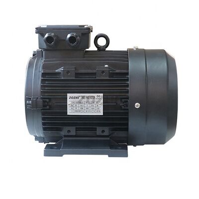 Rated Voltage 380V Hollow Shaft Motor Foot Mounted Compatible with Standard Industrial Mounting and Automation Equipment