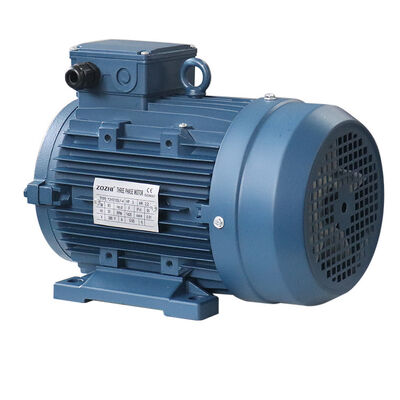Rated Output 0.12KW 315KW 3 Phase Induction Motor Designed to Meet Industrial Standards Not Exceed 1000m Above Sea Level