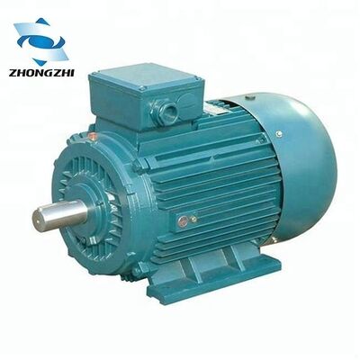 2 Pole 3 Phase Induction Motor Featuring Efficiency Up To 95 Percent Designed for Performance in Industrial Environments