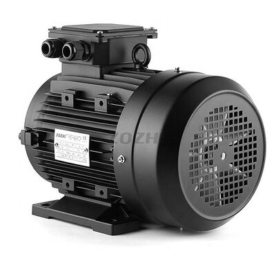 S1 continuous duty Hollow Shaft Motor 4 poles IP55 protection optimized for conveyor systems and automated production lines