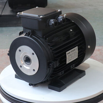 Mounting B3 3 Phase Induction Motor Service Factor 1.0 Engineered for Industrial Equipment Requiring Stable Power Supply
